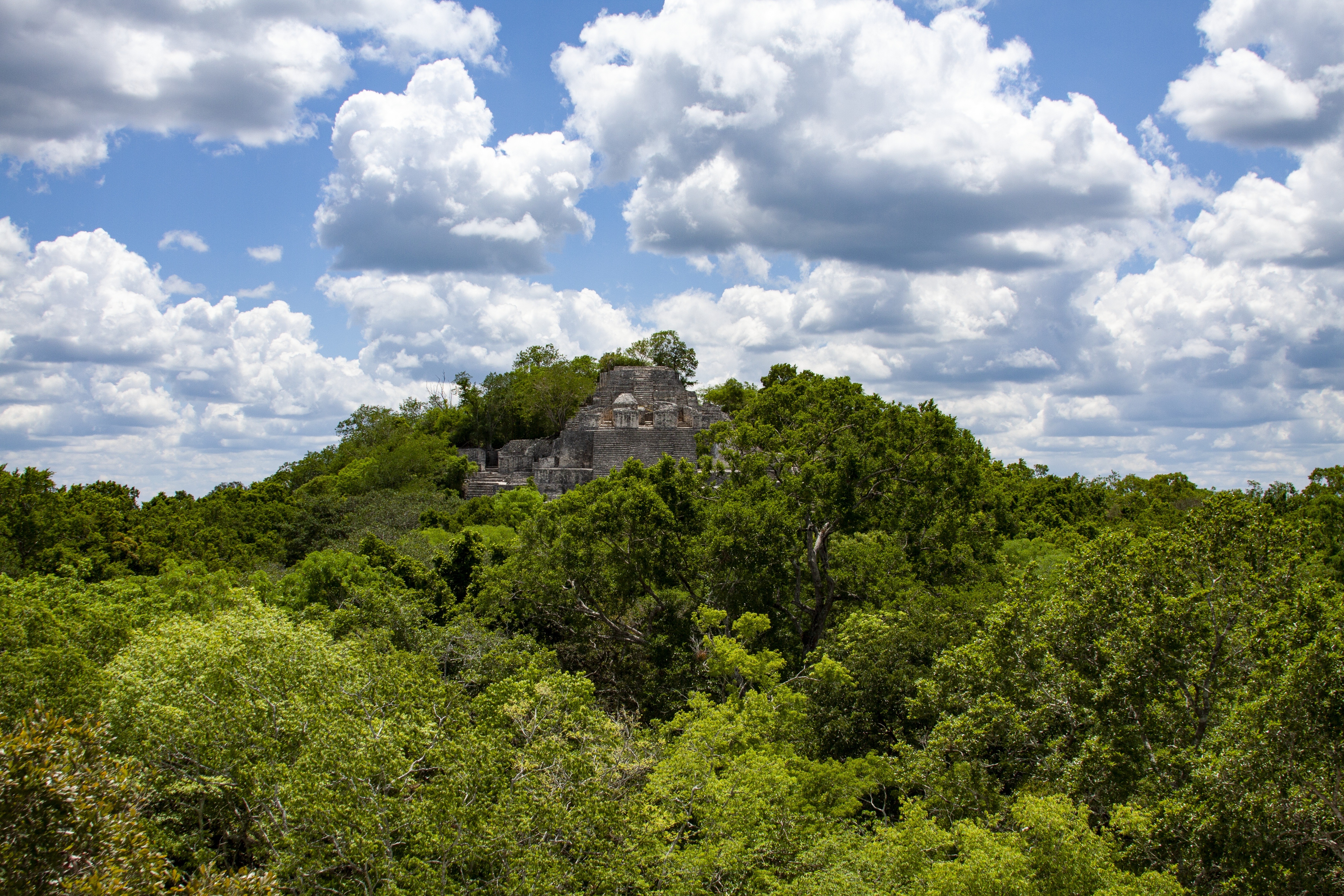 Calakmul Patrimonio de la Humanidad Campeche