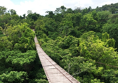 Puente colgante