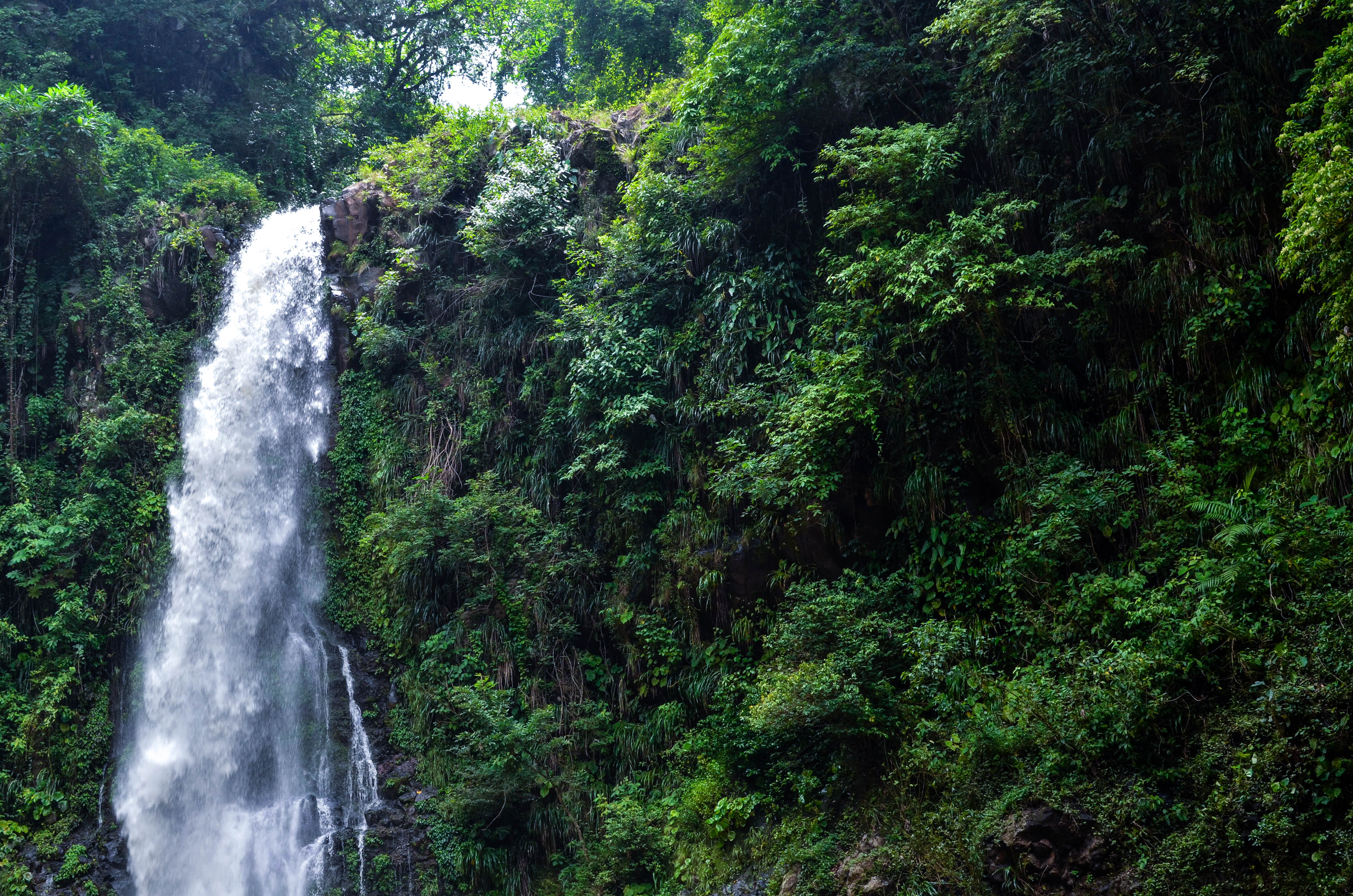 cascada