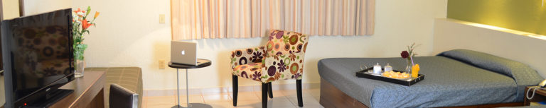 bann servicios1 768x153