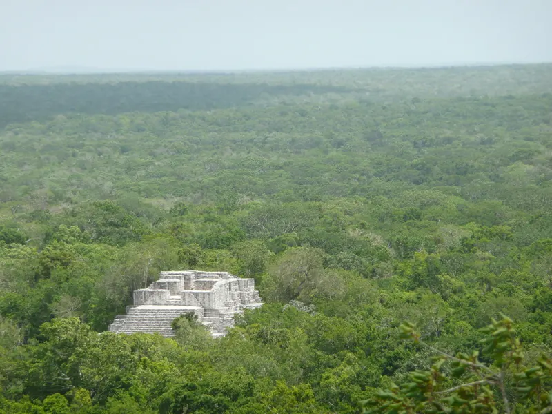Calakmul8