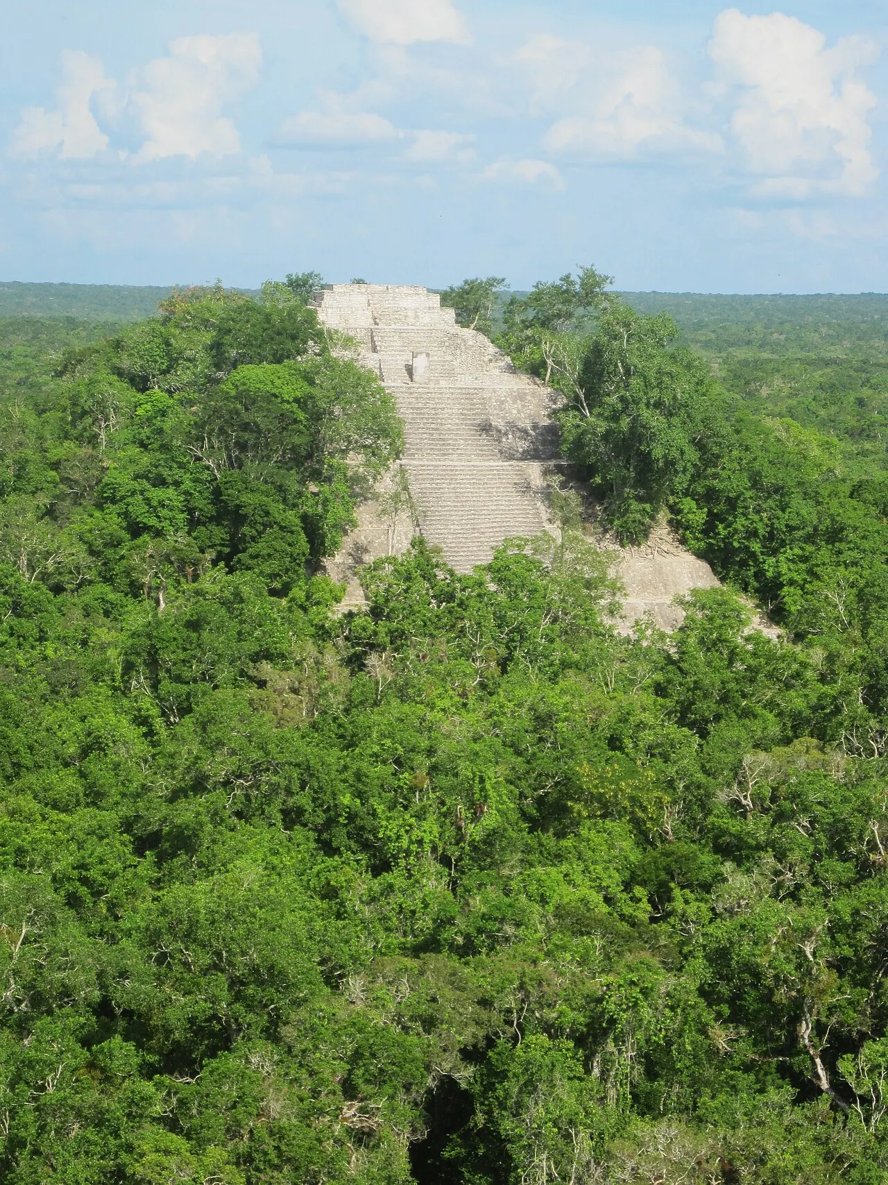 In Calakmul, Mexico (8726963632)
